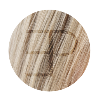 Tape Extensions 50cm Kleur: 60C- 2 licht ash blond  Estee paris