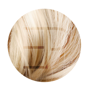 Tape Extensions 50cm Kleur: 60C- 9C highlight,lowlight  Estee paris 