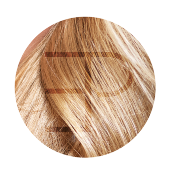 Tape Extensions 50cm Kleur: 3- 16- 60C Estee paris