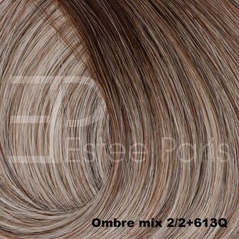 Weft Estee Paris Ombre mix 2/2+613Q - Mix blond met bruine roots