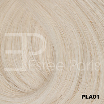 V Part Estee paris Pla 01 - Platinum blond