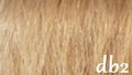 Great Hair Tape Extensions 50 cm kleur DB2 - licht goudblond 