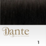 Dante Clips In LIGHT 42 cm Natural Straight kleur 1 Zwart