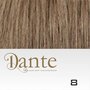 Dante Clips In LIGHT 42 cm Natural Straight kleur 8