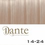 Dante Clips In LIGHT 50 cm Natural Straight kleur 14-24