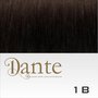 Dante Clips In LIGHT 50 cm Natural Straight kleur 1B Zwart Bruin